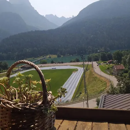 Casa Ciccarelli Lejlighed Domegge di Cadore